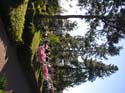 Spokane Area Photographs (38)