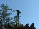 Spokane Area Photographs (39)
