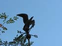 Spokane Area Photographs (40)