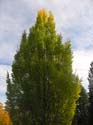 Spokane Photographs (100)
