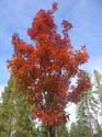 Spokane Photographs (101)