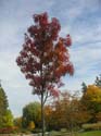 Spokane Photographs (102)