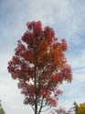 Spokane Photographs (103)