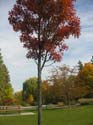 Spokane Photographs (104)