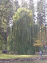 Spokane Photographs (107)