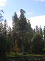Spokane Photographs (108)