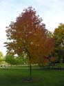 Spokane Photographs (112)