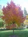 Spokane Photographs (113)