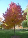 Spokane Photographs (114)