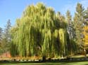 Spokane Photographs (116)