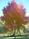 Spokane Photographs (117)