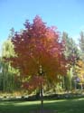 Spokane Photographs (118)