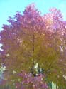 Spokane Photographs (119)