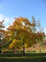 Spokane Photographs (120)