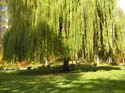 Spokane Photographs (122)