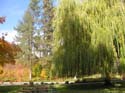 Spokane Photographs (128)