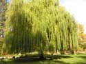 Spokane Photographs (129)