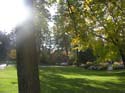 Spokane Photographs (138)