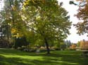 Spokane Photographs (139)