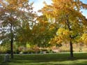 Spokane Photographs (141)