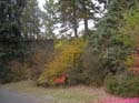 Spokane Photographs (144)