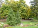 Spokane Photographs (156)