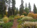Spokane Photographs (158)