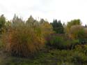 Spokane Photographs (160)