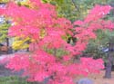 Spokane Photographs (165)