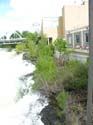 Spokane Photographs (261)