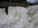 Spokane Photographs (263)