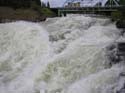 Spokane Photographs (264)