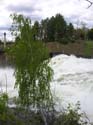 Spokane Photographs (268)