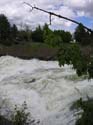 Spokane Photographs (269)