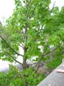 Spokane Photographs (271)