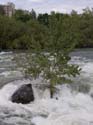 Spokane Photographs (299)