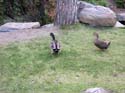 Spokane Photographs (381)