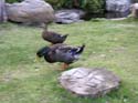 Spokane Photographs (386)
