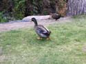 Spokane Photographs (387)