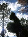 Spokane Photographs (426)