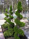 Spokane Photographs (429)