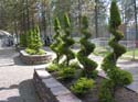Spokane Photographs (444)