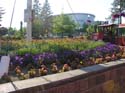 Spokane Photographs (501)