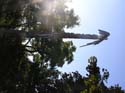Spokane Photographs (509)