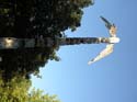 Spokane Photographs (511)