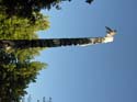 Spokane Photographs (512)