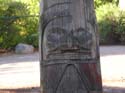 Spokane Photographs (515)
