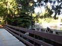 Spokane Photographs (521)