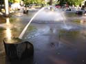 Spokane Photographs (532)
