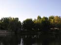 Spokane Photographs (553)